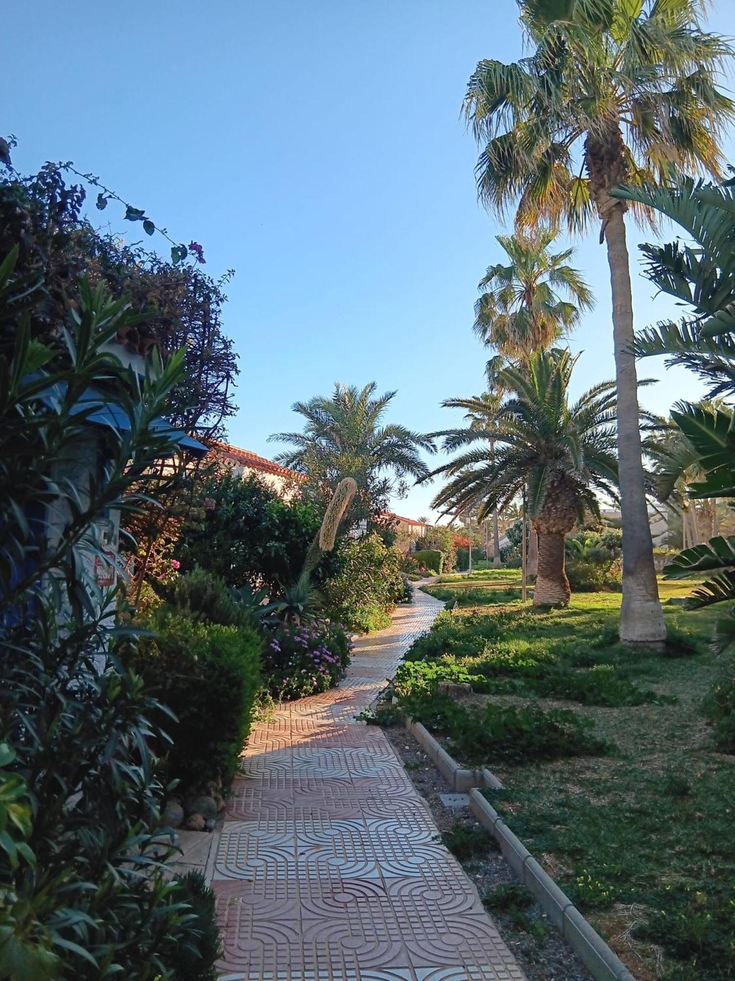 רוקאוטס דה מר Tropicana Playa מראה חיצוני תמונה