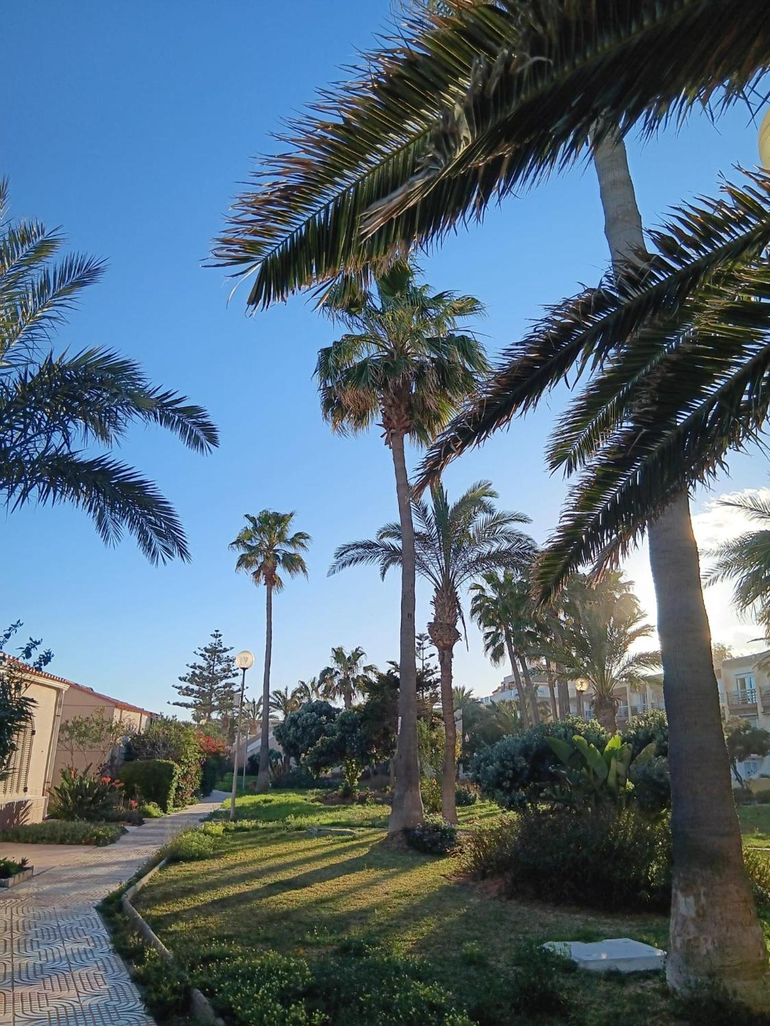 רוקאוטס דה מר Tropicana Playa מראה חיצוני תמונה